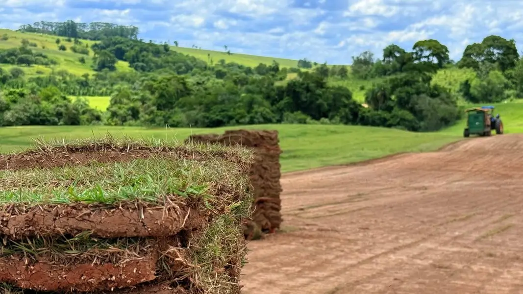 Tapetes de grama empilhados na área de produção