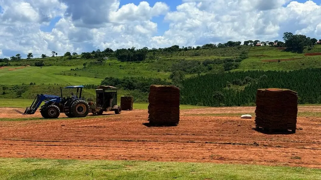 Caminhão carregado com paletes de grama saindo para entrega